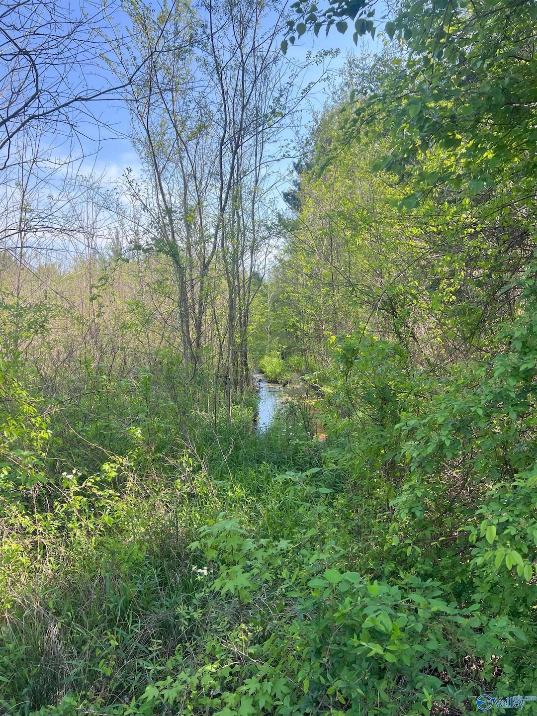 For Sale $450,500 • Co-Listing Agent