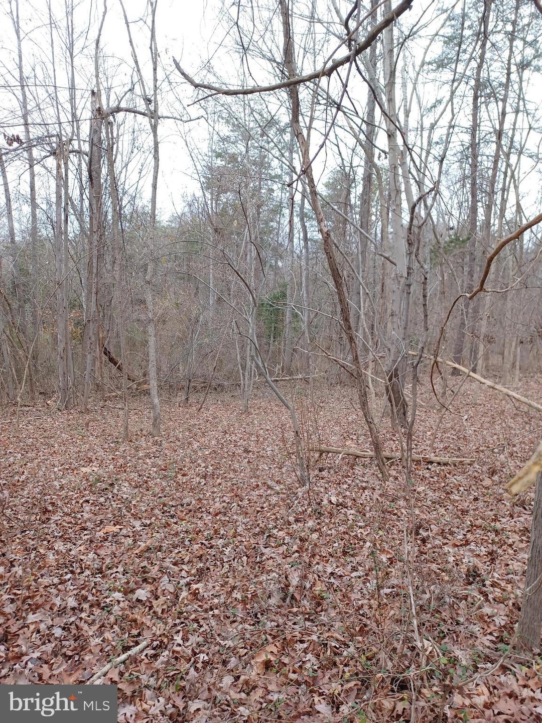 0 Briar Trail unit WVJF2006284, Harpers Ferry, WV 25425 - photo 1