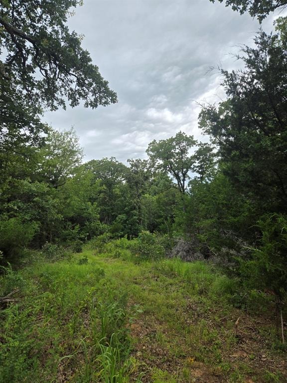 View of wooded area