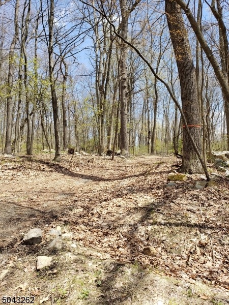 96 Hartmans Corner Rd, Washington, NJ 07882 - photo 1