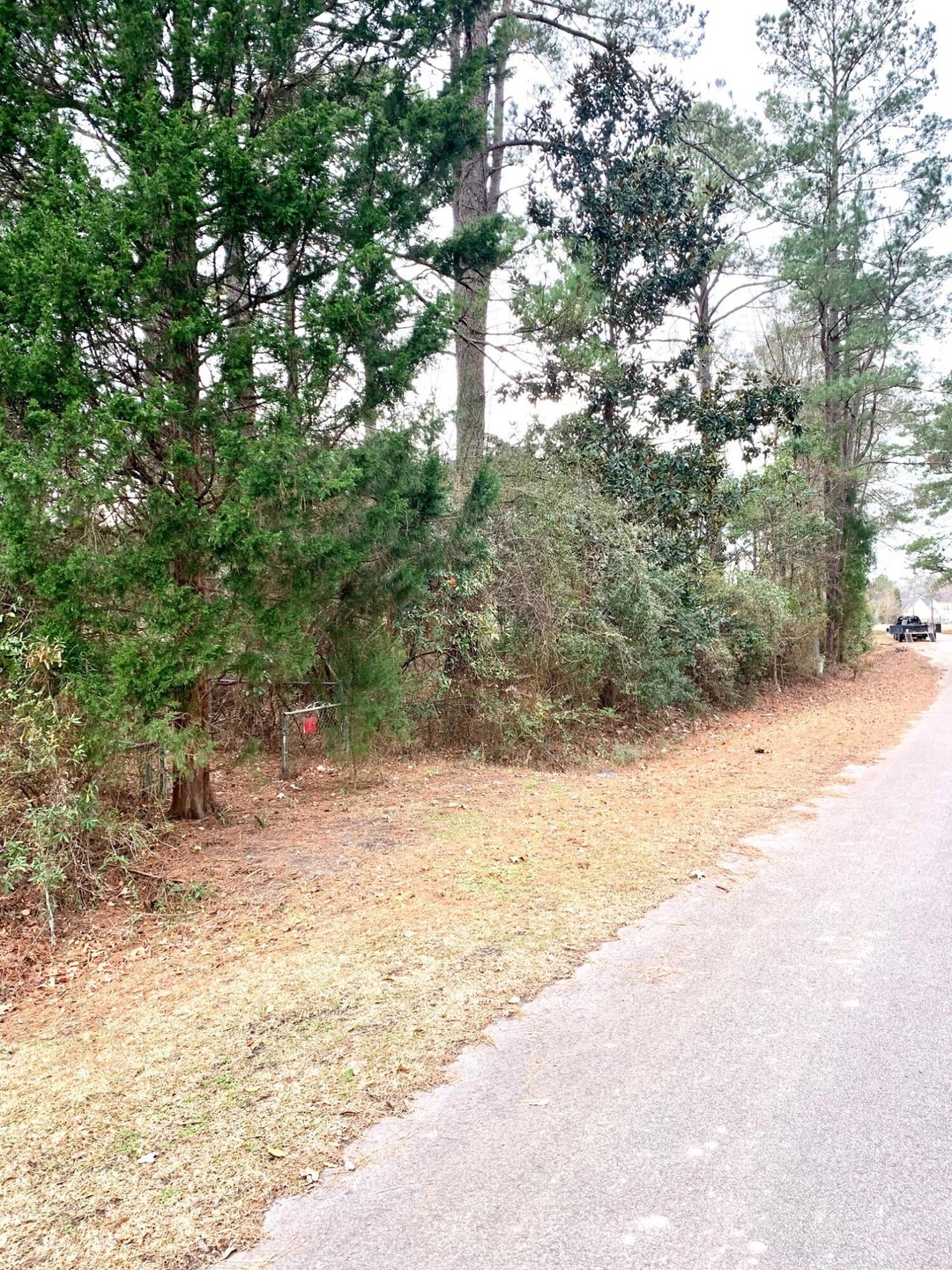 199 Lazy Acre Loop