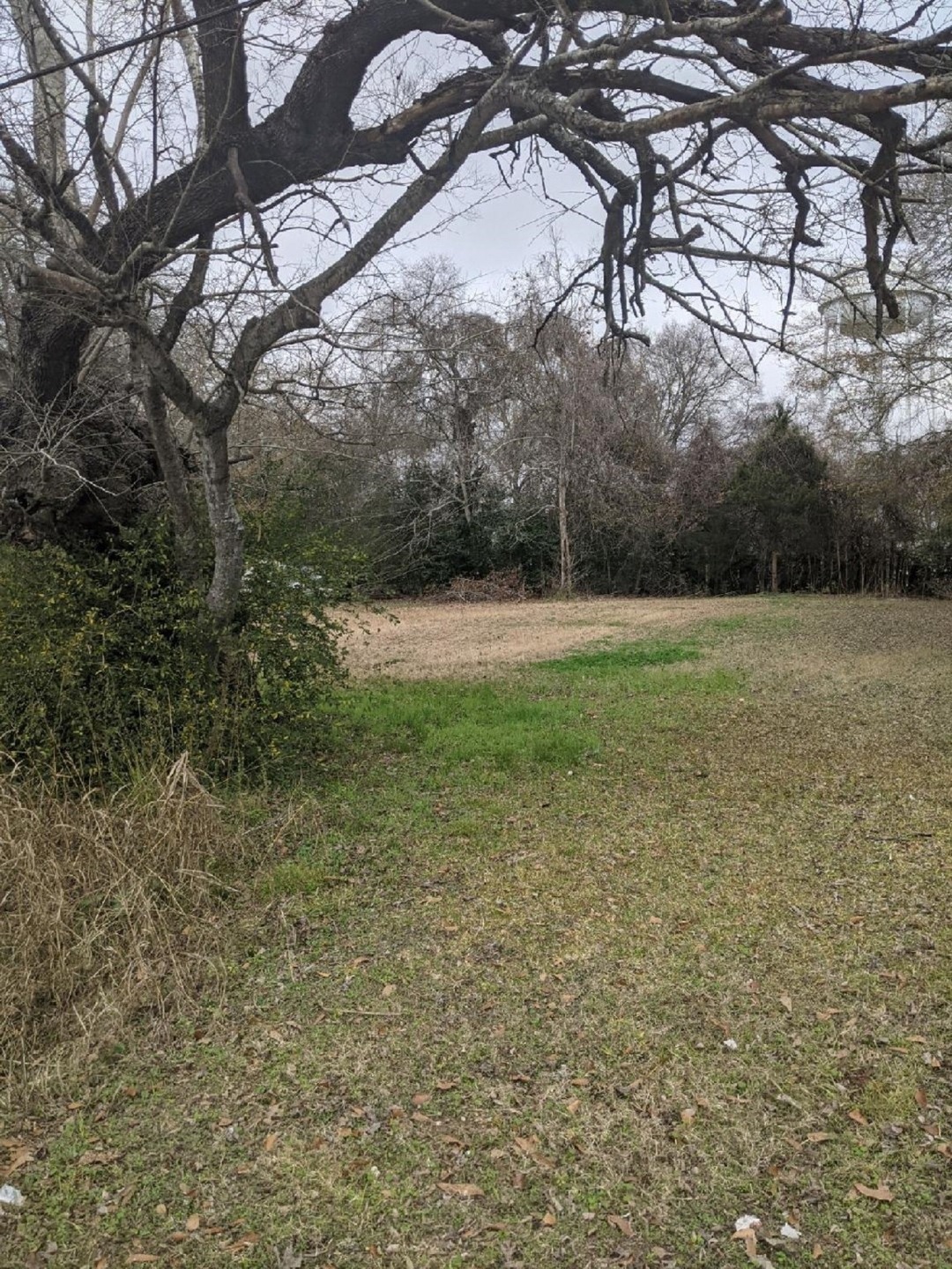 0 Sledge unit 78015579, Waller, TX 77484 - photo 1