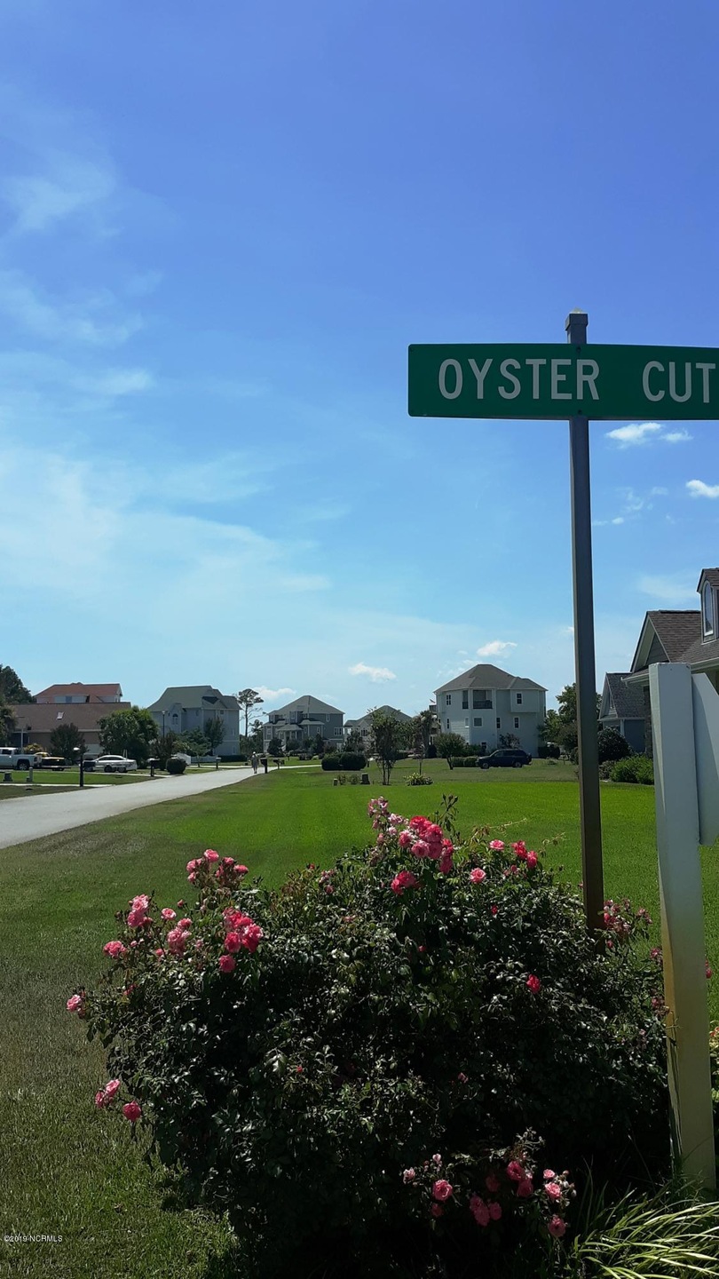 oyster cut