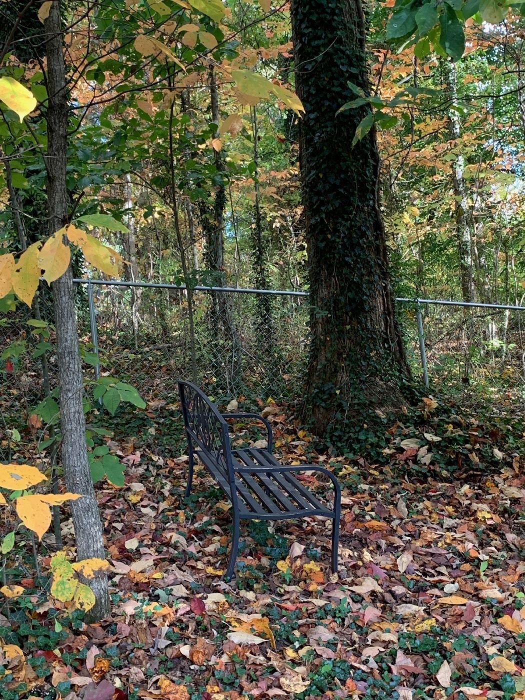 1562 Lake Villa Cir, Cookeville, TN 38506 - photo 1