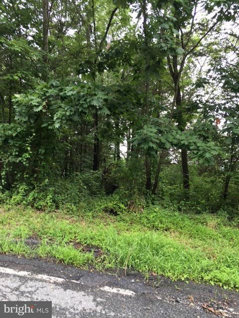 0 Hill Rd unit PABK345978, Palm, PA 18070 - photo 1