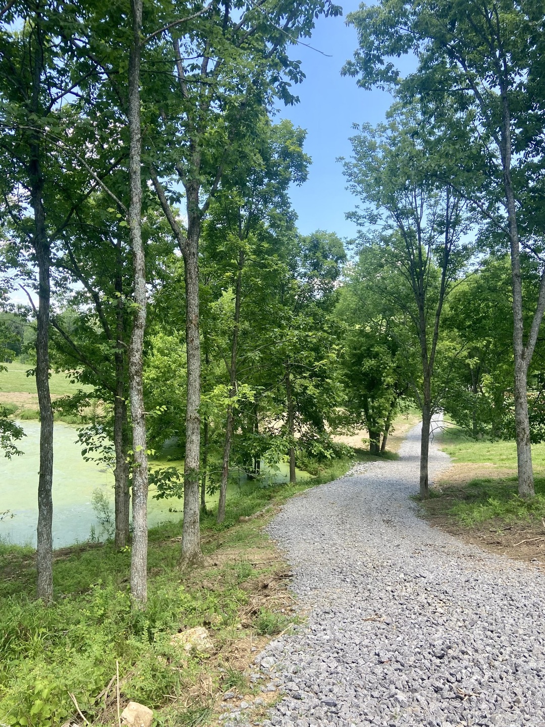 0 Mclaughlin Ln unit RTC2656474, Shelbyville, TN 37160 - photo 1