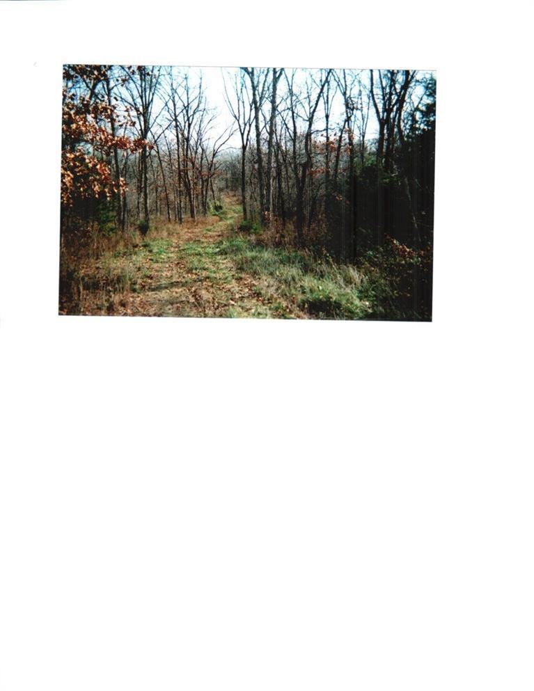 Primary Photo