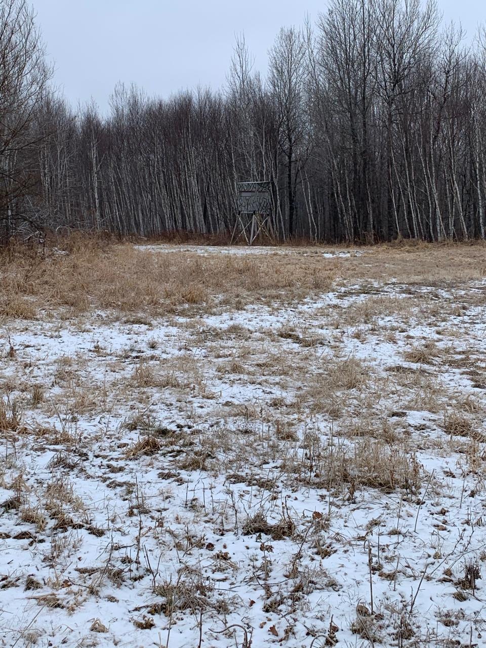 155 acre Hwy 86, Tomahawk, WI 54487 - photo 1