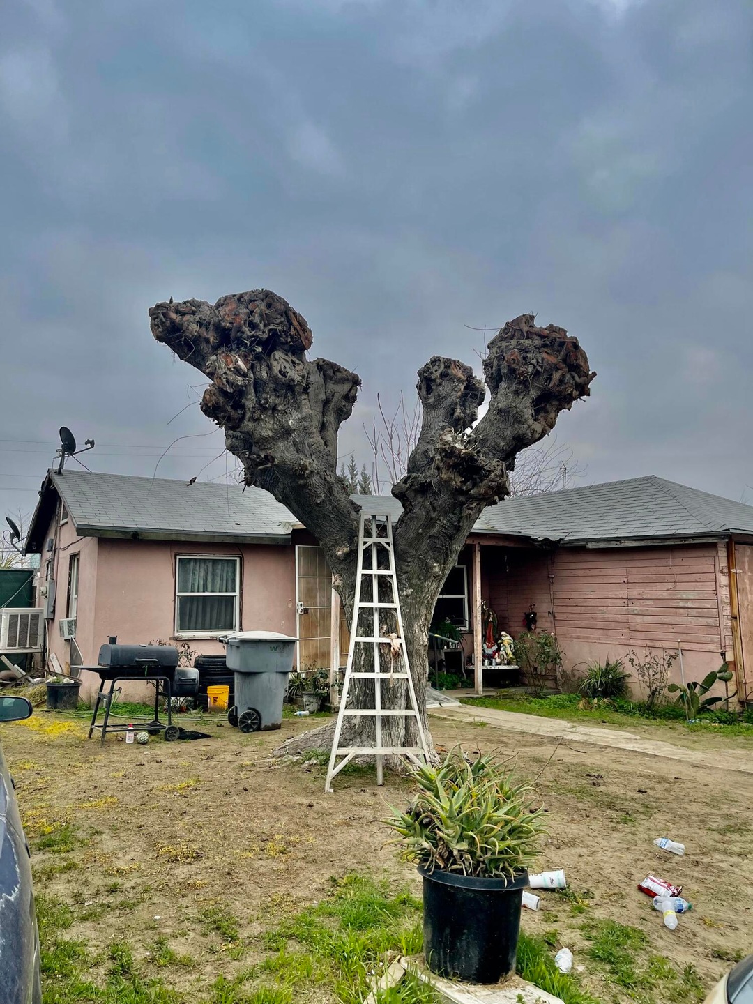 14642 Imperial Rd, Porterville, CA 93257 - photo 1