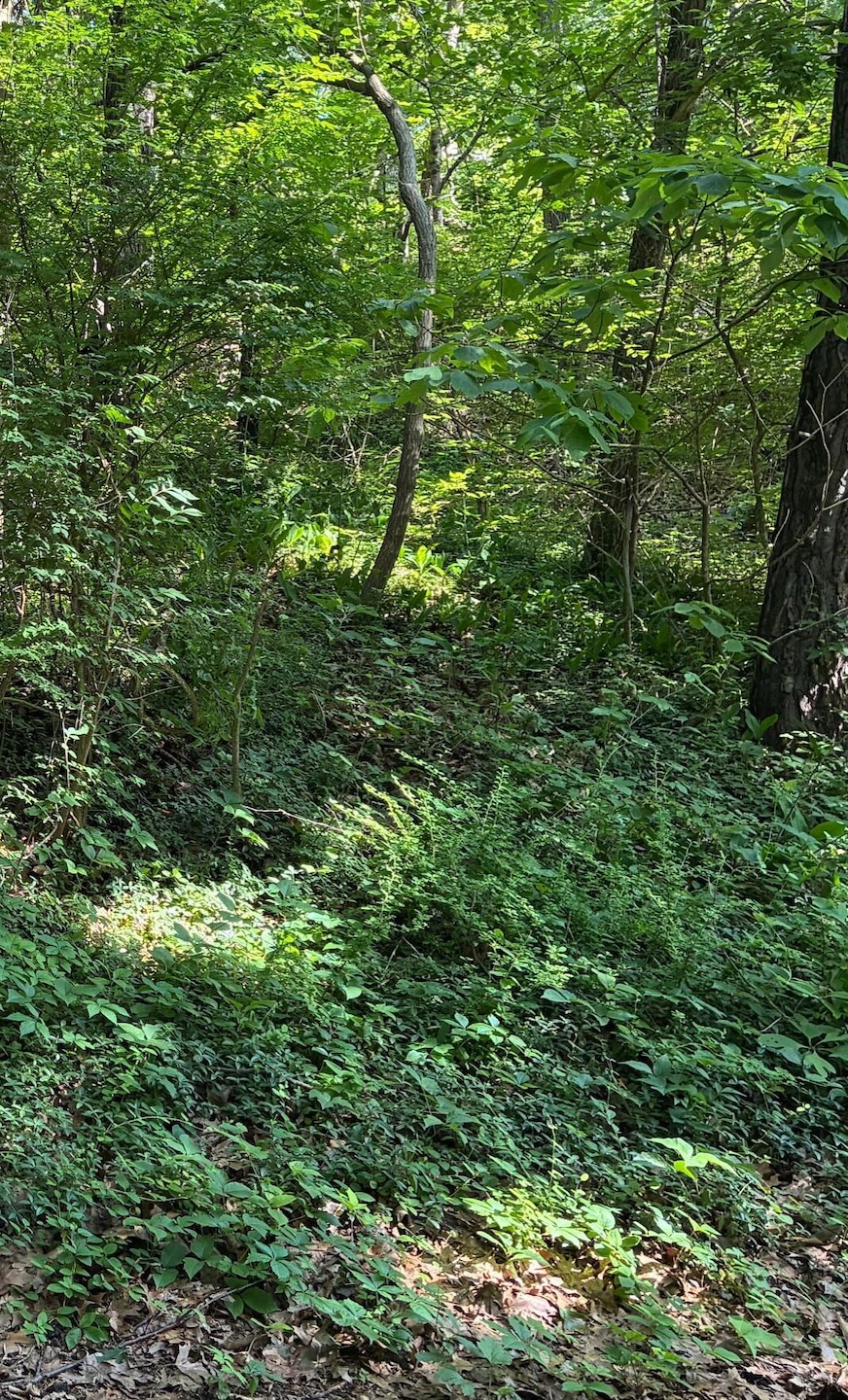 For Sale $490,000 • Co-Listing Agent