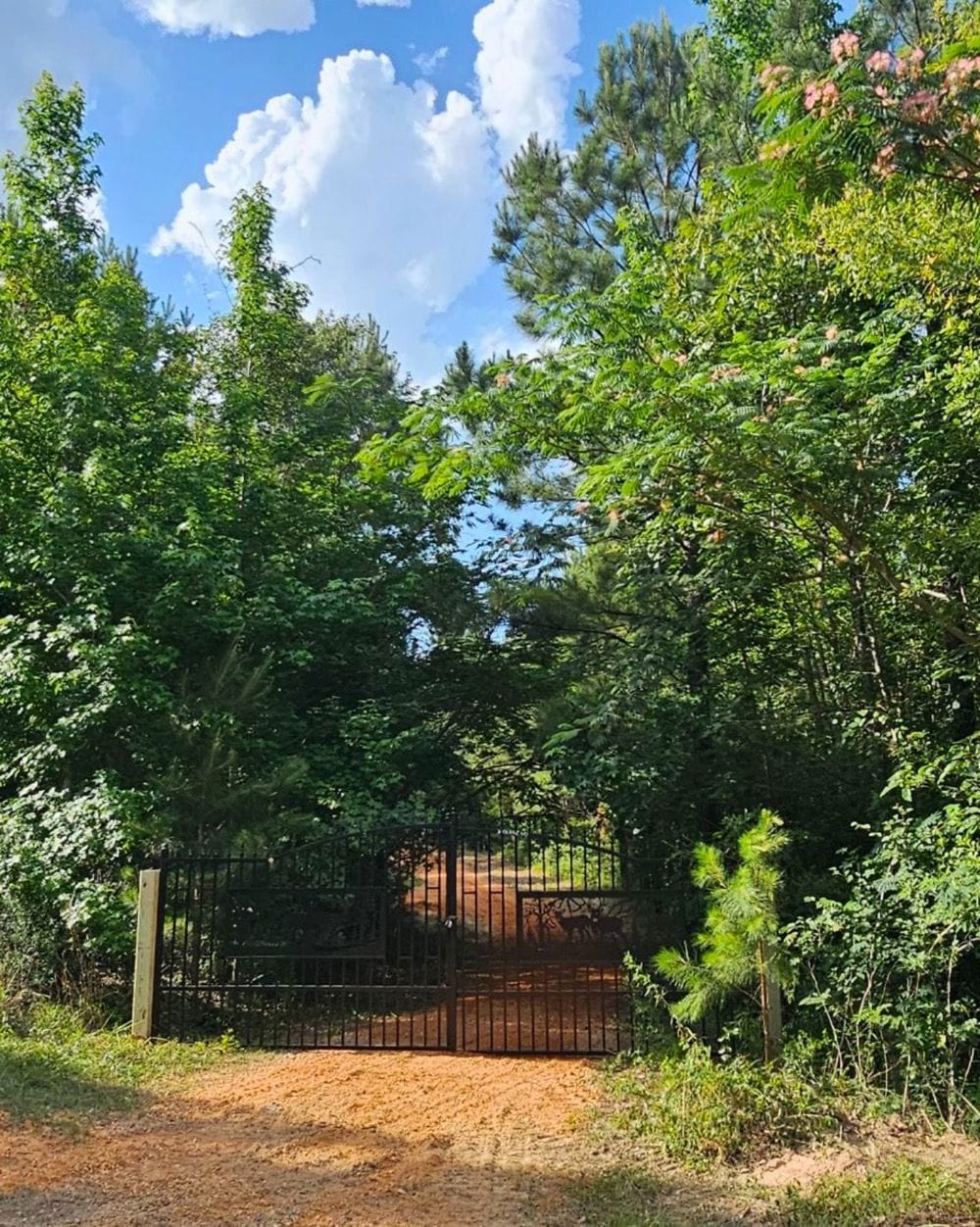 63 Hattie Winston Rd unit LotWP001, Lumberton, MS 39455 - photo 1