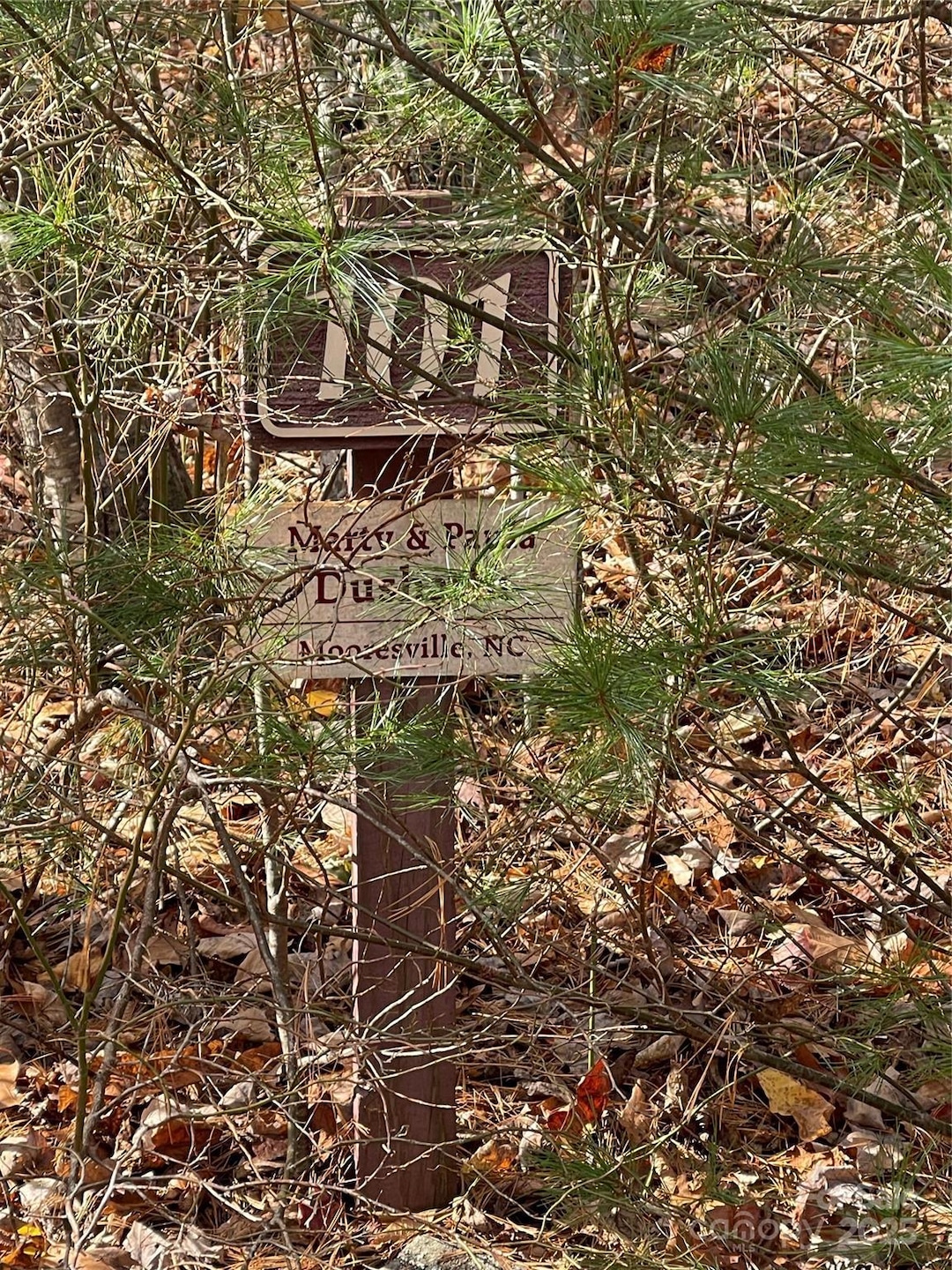 00 Pinnacle Falls Ln, Zirconia, NC 28790 - photo 1