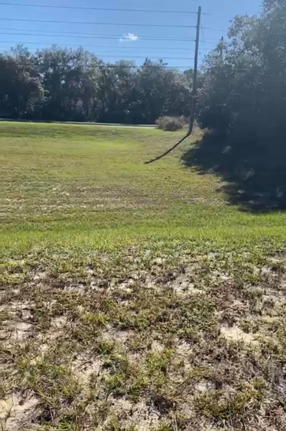 4017 SW 133rd Loop, Ocala, FL 34473 - photo 1