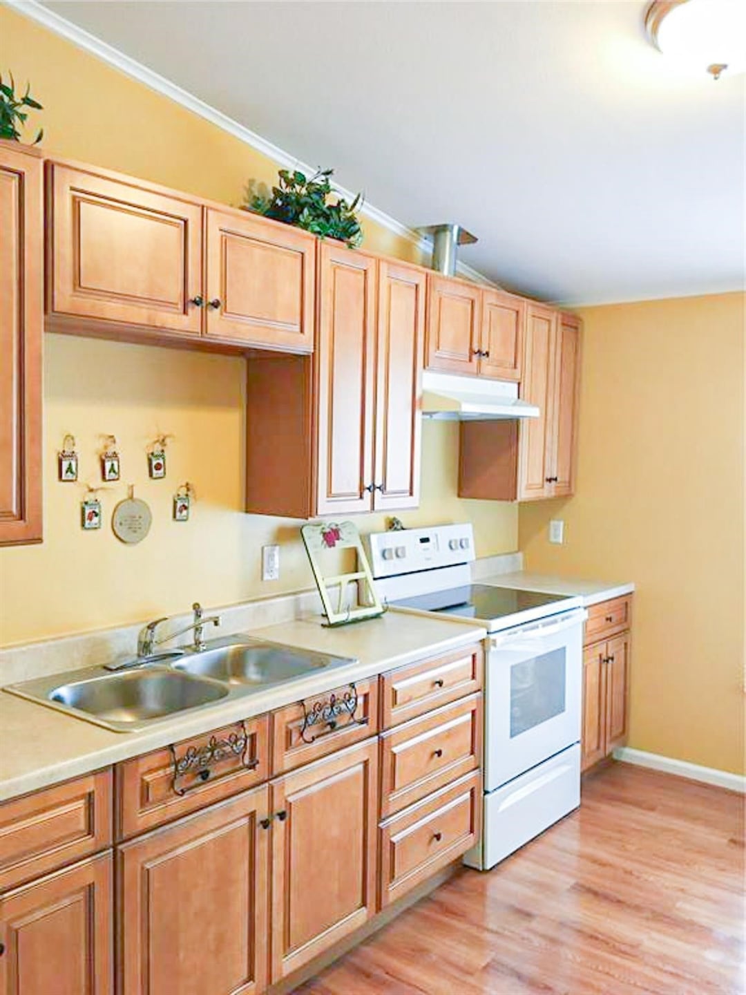 For Rent $1,100/month