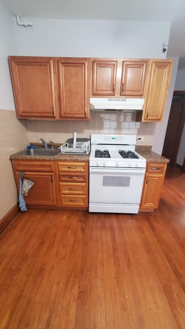 1048 N Leavitt St unit 1R, Chicago, IL 60622 - photo 1