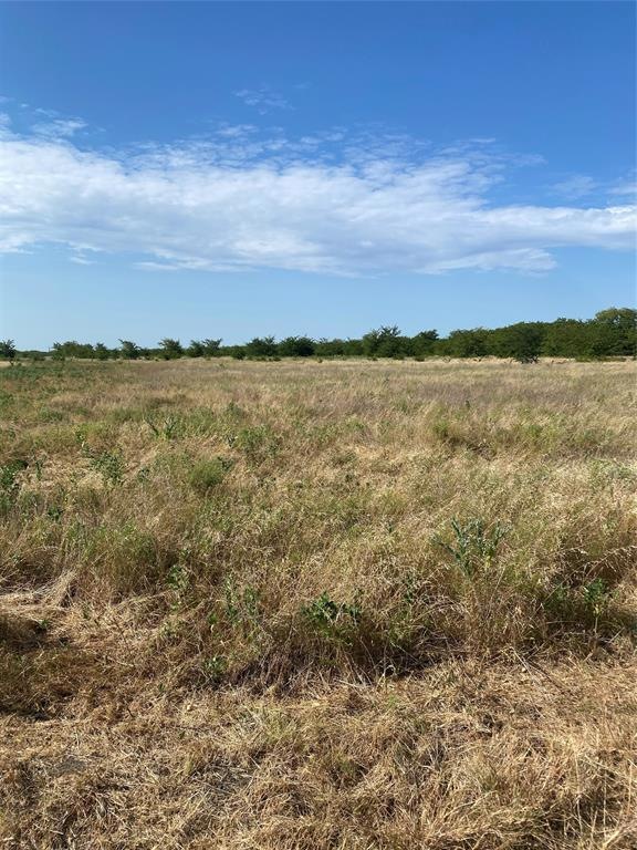 Lot 3 TBD County Rd 4306, Greenville, TX 75401 - photo 1