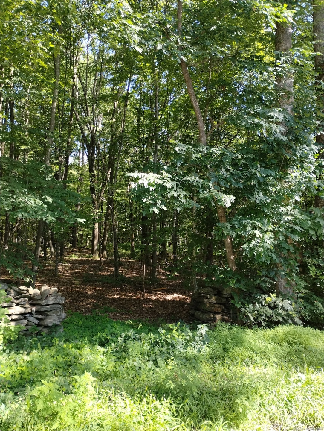 00 Joy Rd, Woodstock, CT 06281 - photo 1