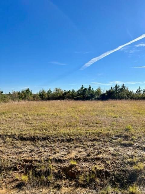 0 Rea Rd Tract 7 unit 26-3998, Deridder, LA 70634 - photo 1