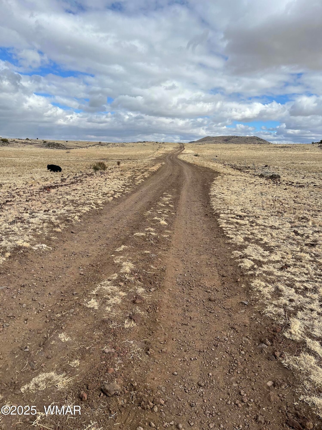 500 N3540, Concho, AZ 85924 - photo 1