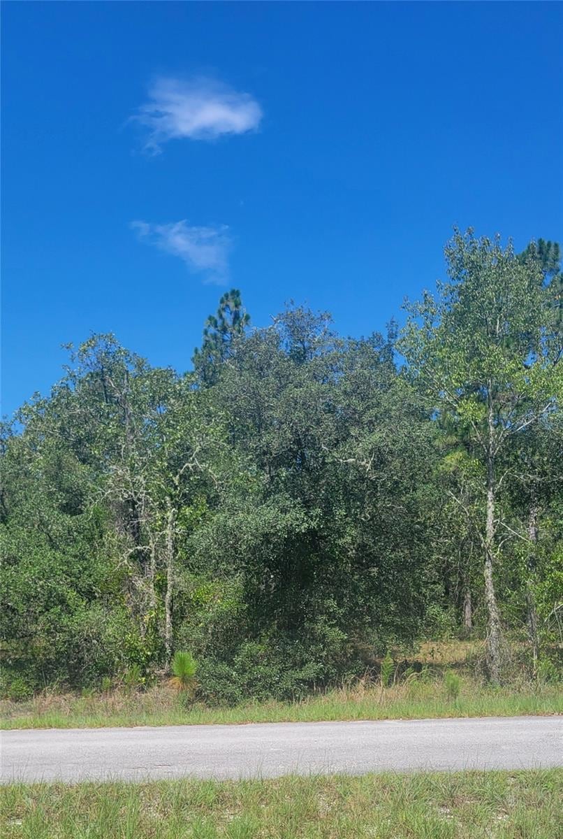 0 SW Big Bear Ridge unit MFROM707358, Dunnellon, FL 34432 - photo 1