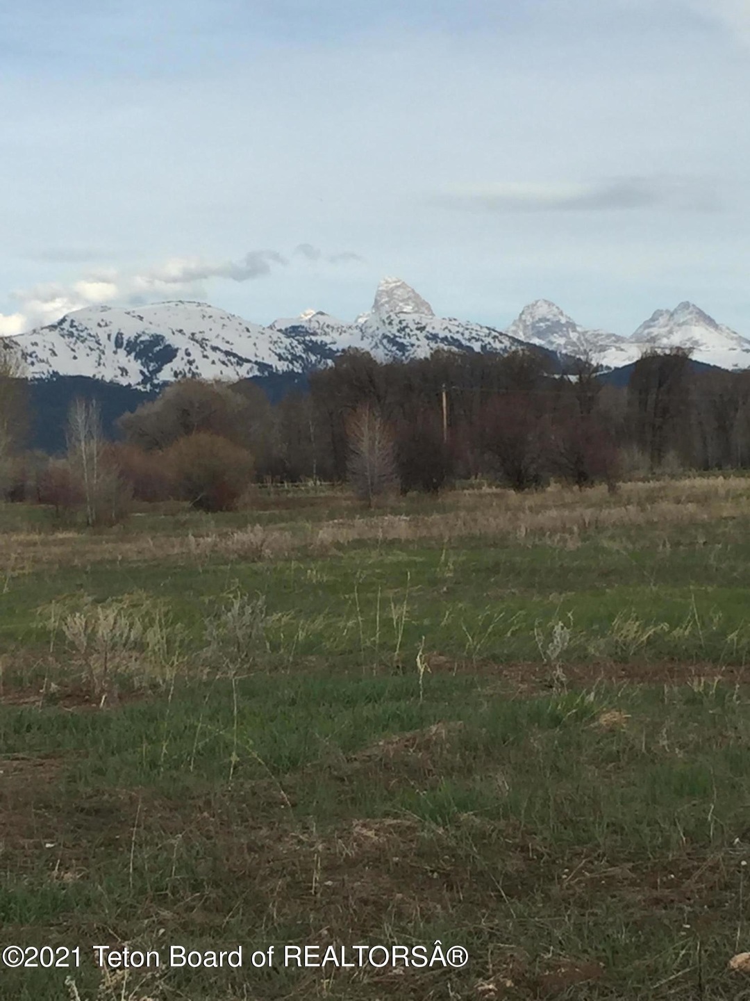 Mountain View 1