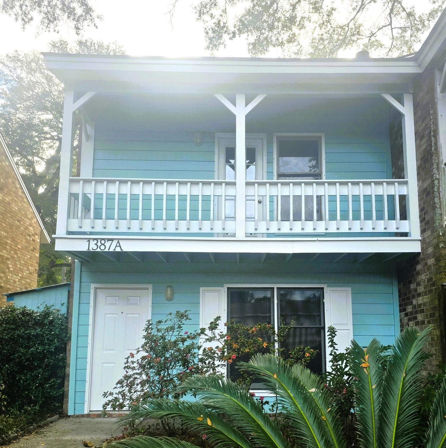 Front view