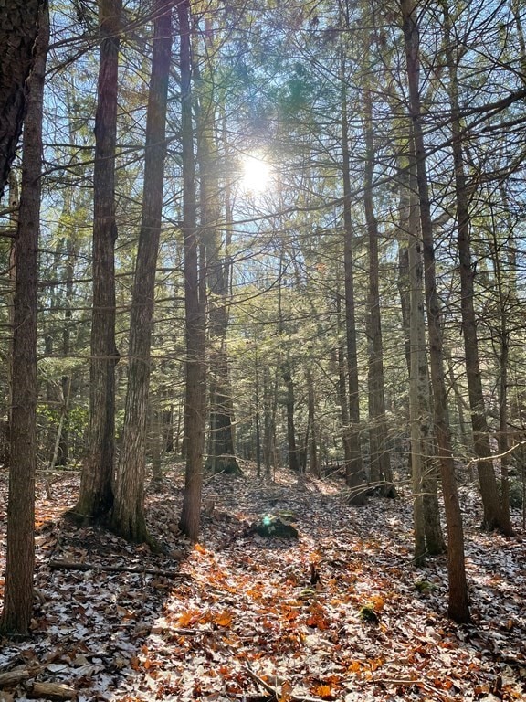 Parcel 1 Northwest Rd, Westhampton, MA 01027 - photo 1