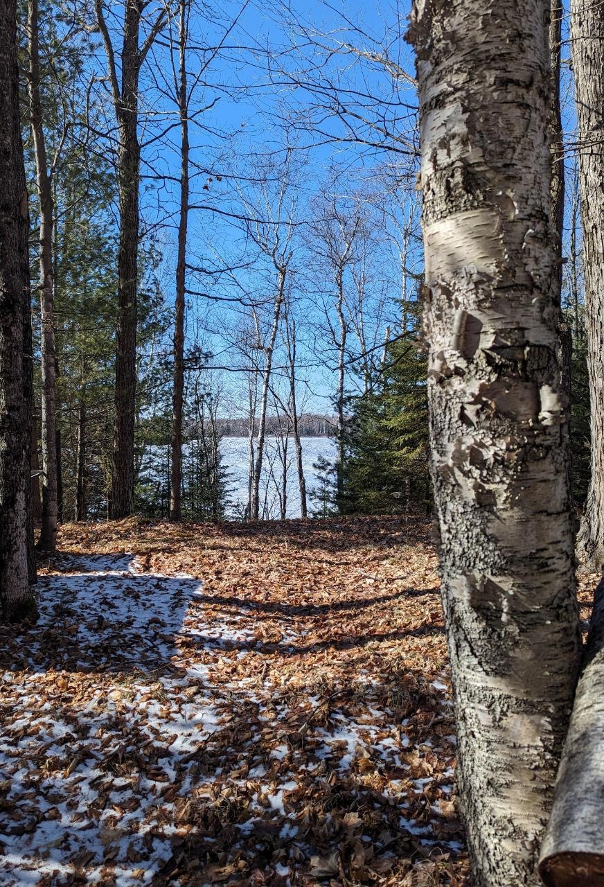 N12928 Lone Pine Rd, Fifield, WI 54524 MLS 205726