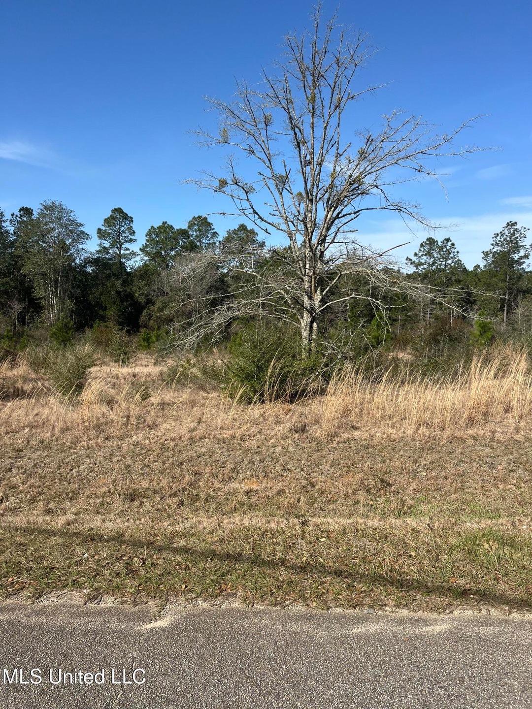 Lot 59 Deer Park Phase 3