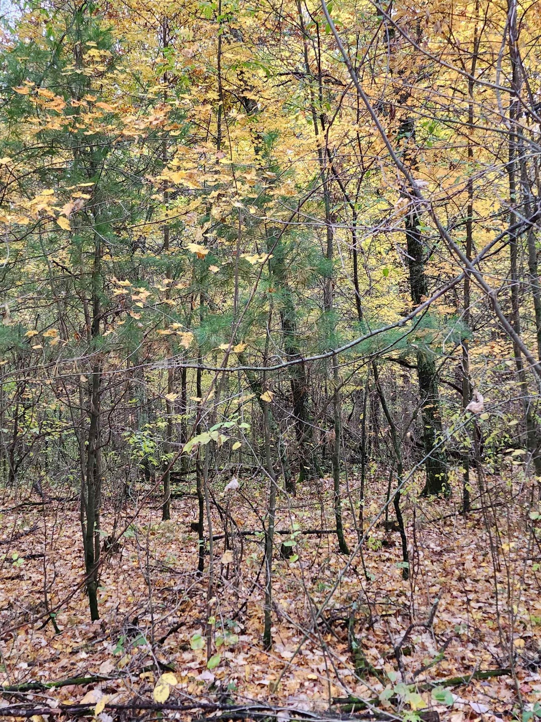 Sold $315,000 • Co-Listing Agent