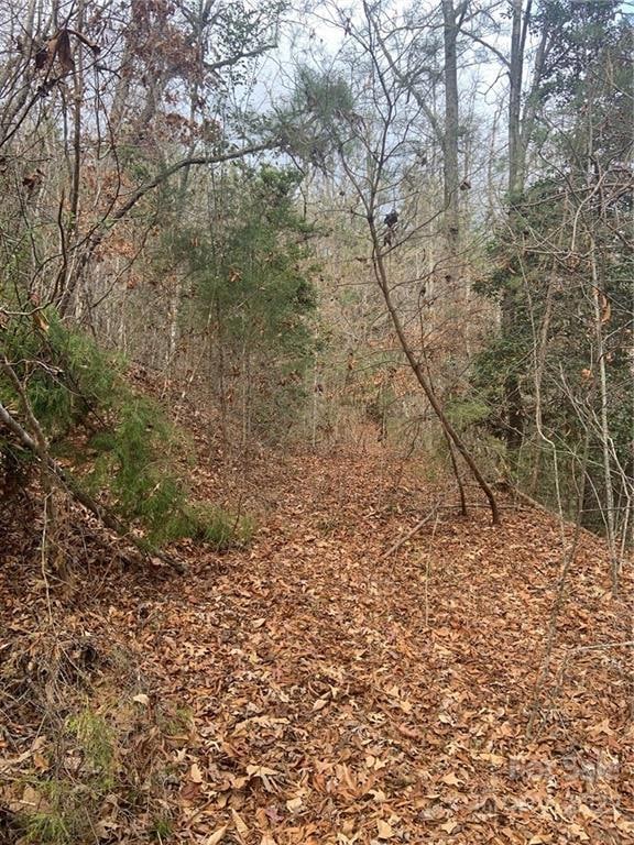 0 Cherokee Mine Rd, Franklin, NC 28734 - photo 1