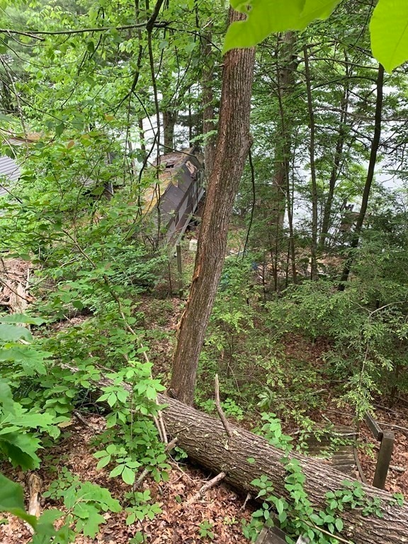 58 Goodrich Rd, Sturbridge, MA 01566 - photo 1