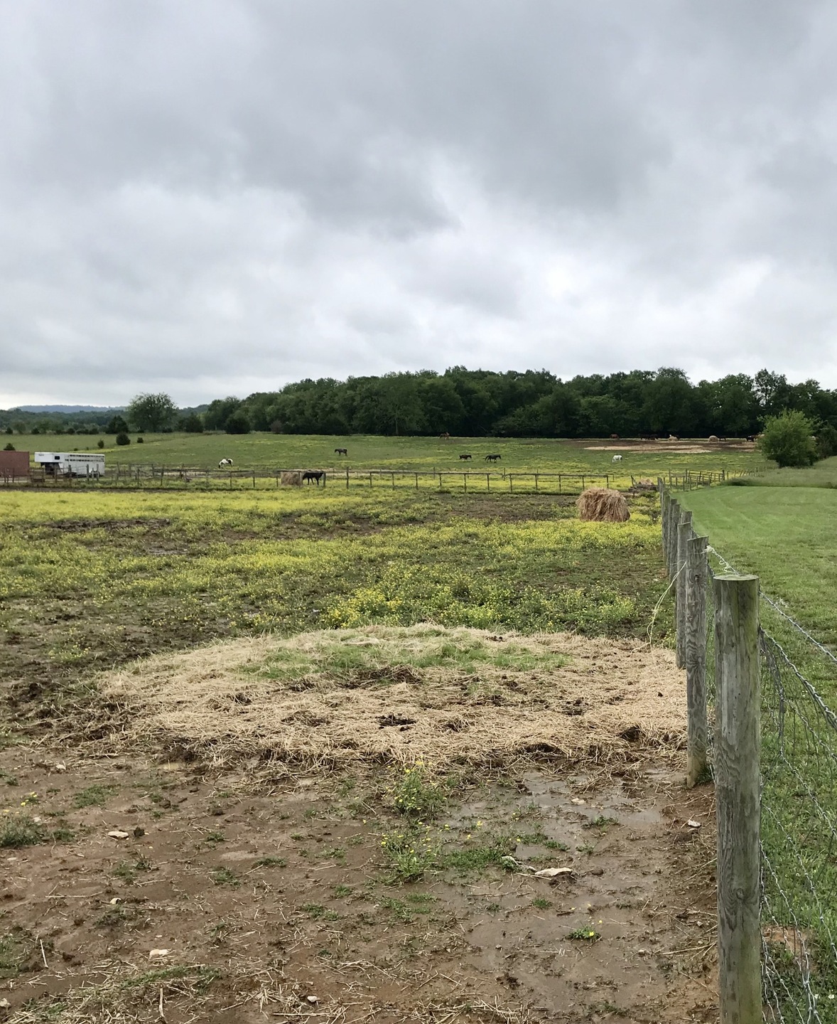 0 Highway 64 W unit 2151153, Shelbyville, TN 37160 - photo 1