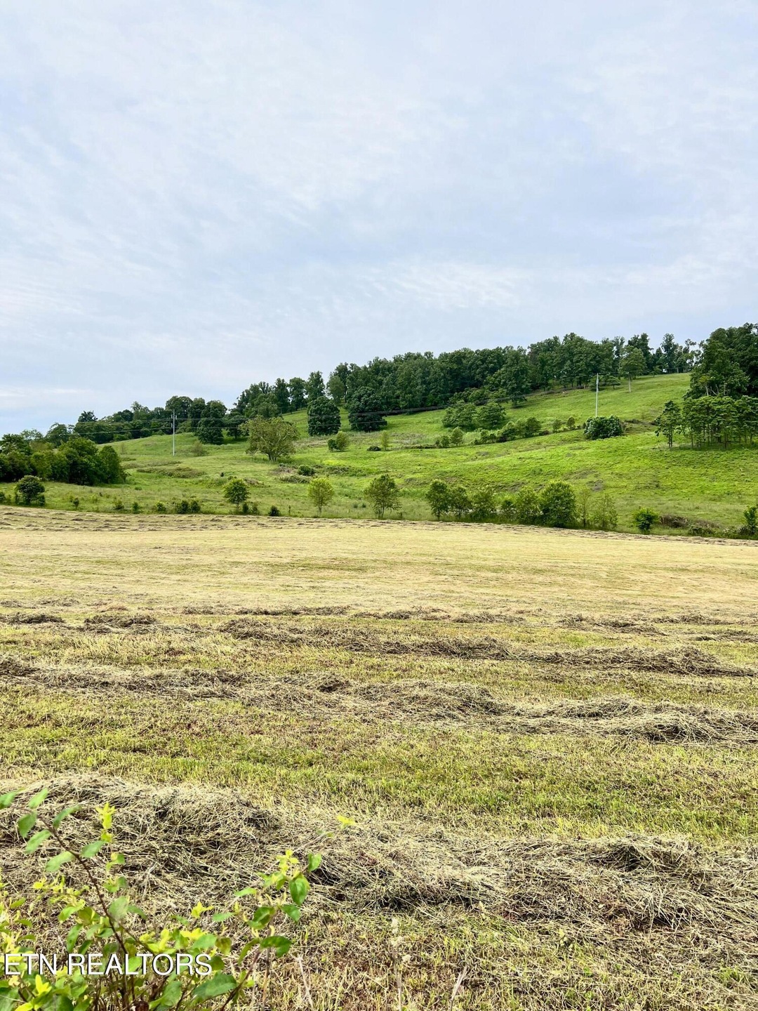 Tract 7 Highway 92, Rutledge, TN 37861 - photo 1