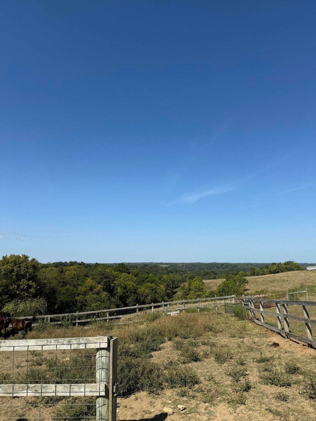 23Ac Olive Branch Rd, Ewing, KY 41041 - photo 1