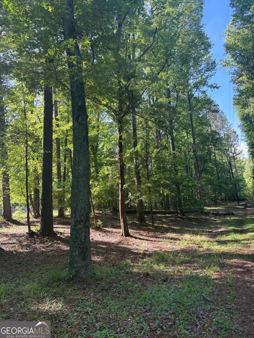 4781 Old Stilesboro Rd NW, Acworth, GA 30101 - photo 1