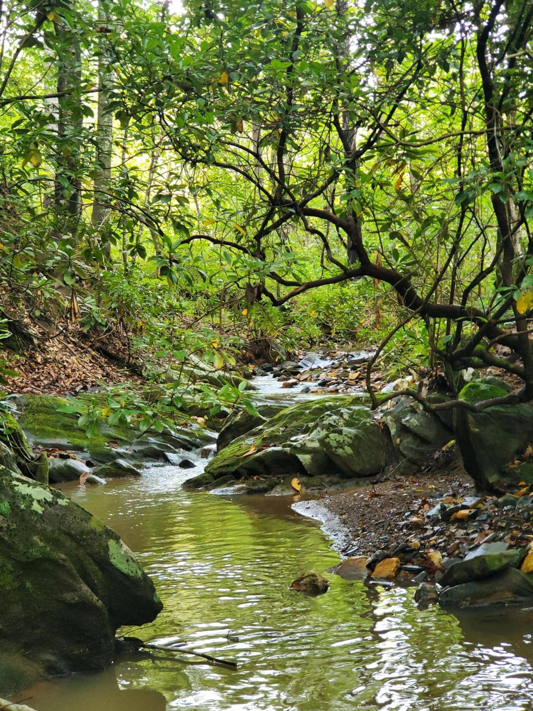 20200926_145620