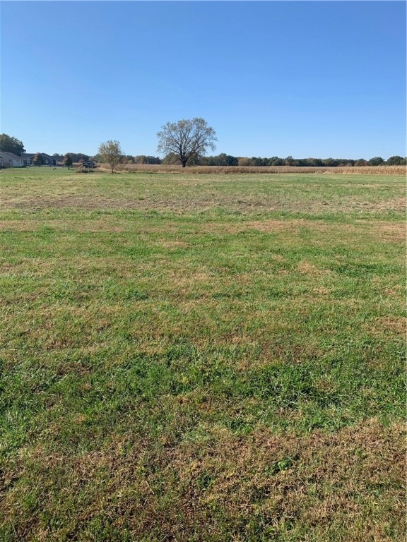 0 Lake Sara Rd, Summit Township, IL 62401 - photo 1