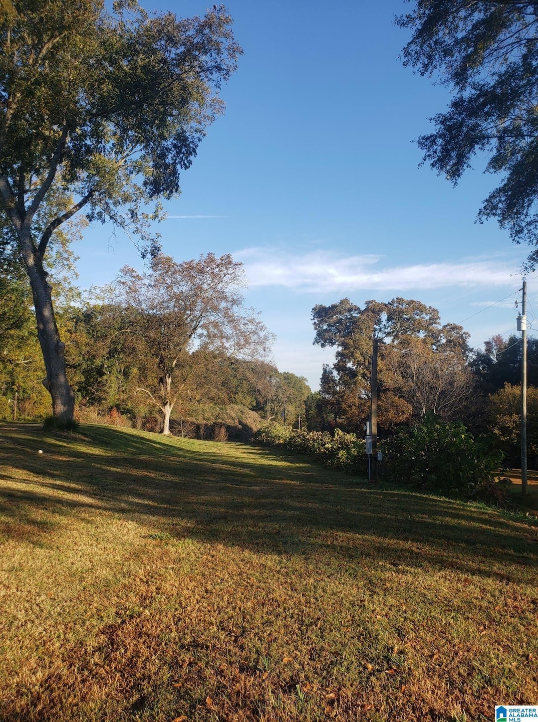 65865 Highway 22, Roanoke, AL 36274 - photo 1