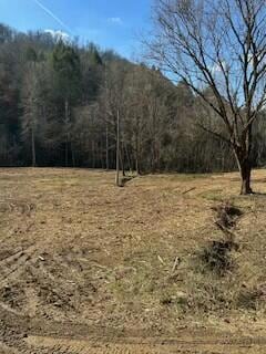 63.74 Acre Chestnut Valley Rd, Vonore, TN 37885 - photo 1