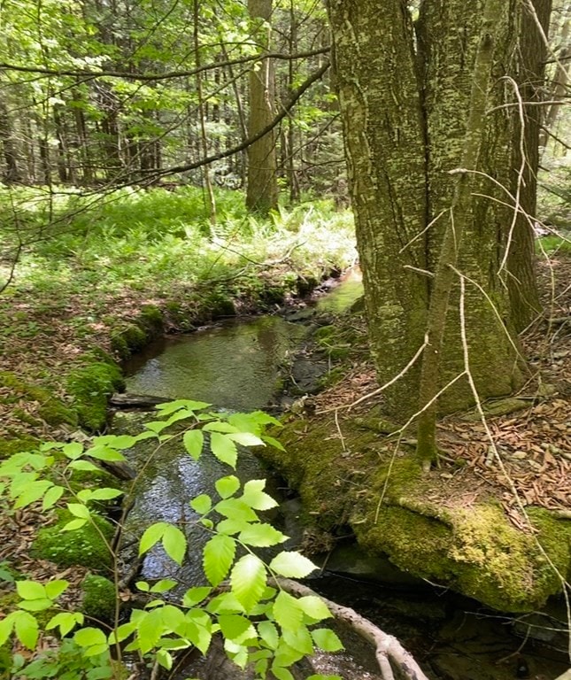 0 Bryant Rd L:16, Cummington, MA 01026 - photo 1