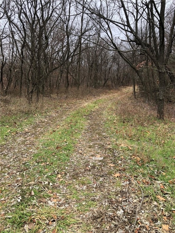 14 WilMcOte Ln, Bella Vista, AR 72715 - photo 1