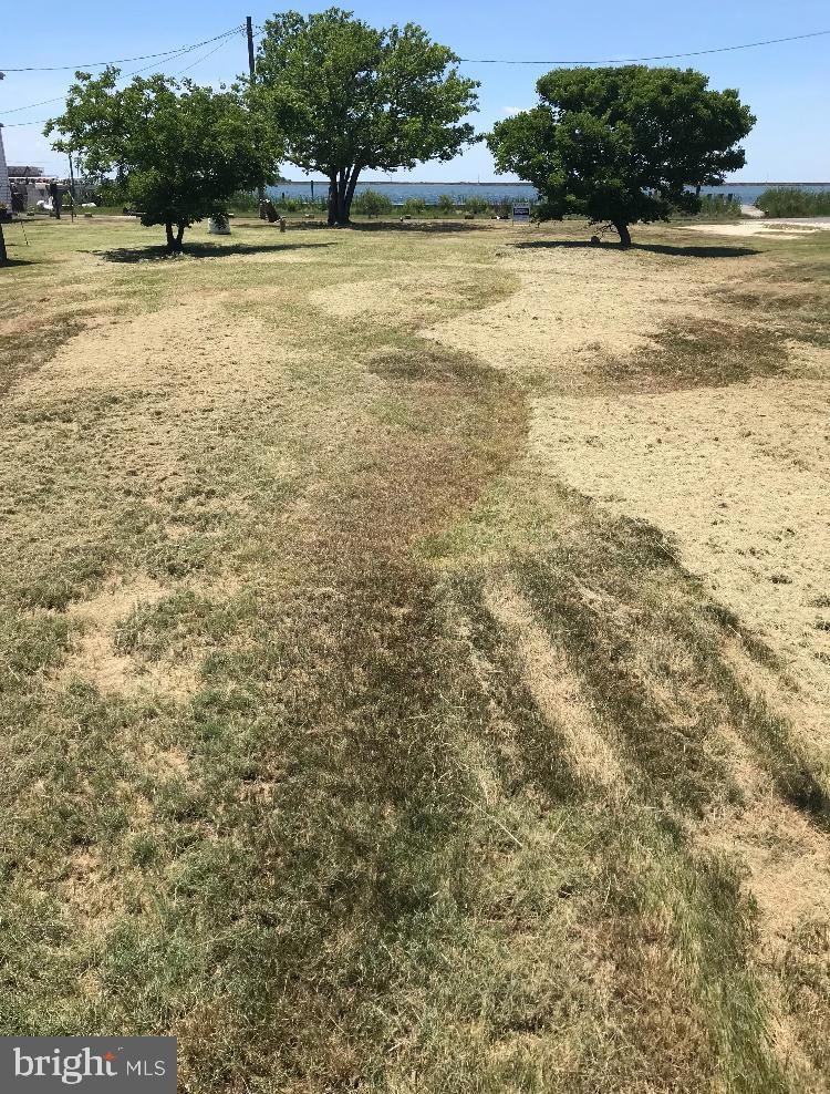 Parcels 9 + 14 Tylerton Rd, Smith Island, MD 21866 - photo 1