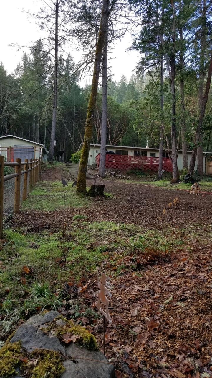 20210125_1038401