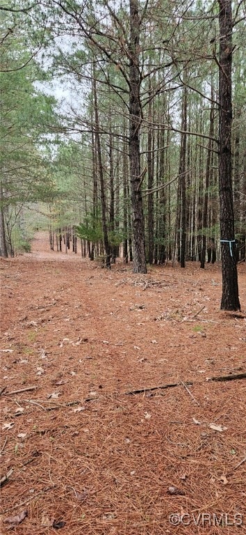 15 Deep Landing Rd, Central District, VA 22560 - photo 1