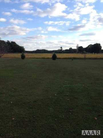 Main View