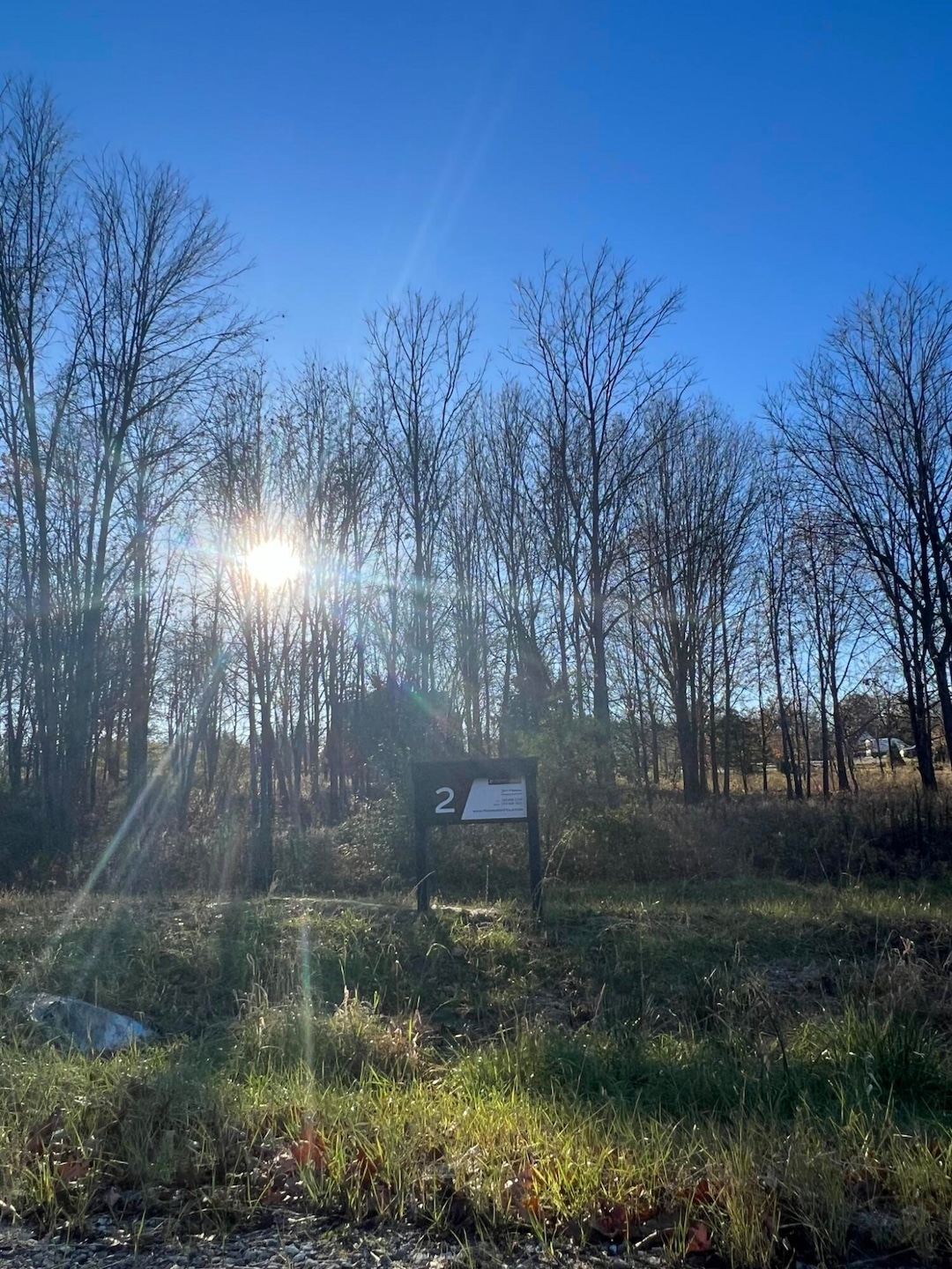 Site 2 - Morrison Hills