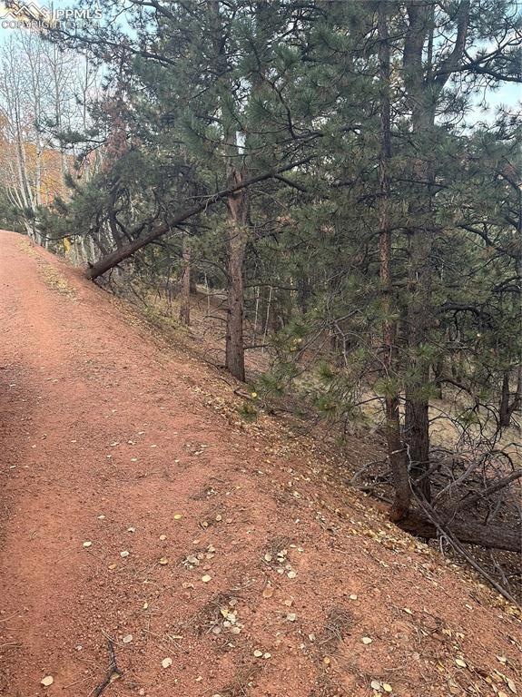 418 Valley Rd, Divide, CO 80814 - photo 1