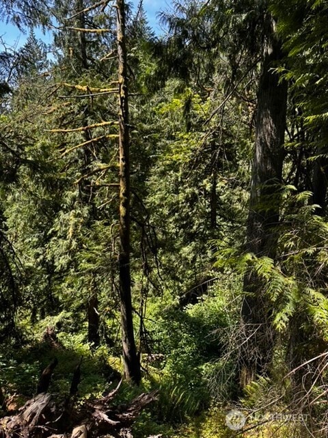 0 Hoff Cir, Everson, WA 98247 - photo 1