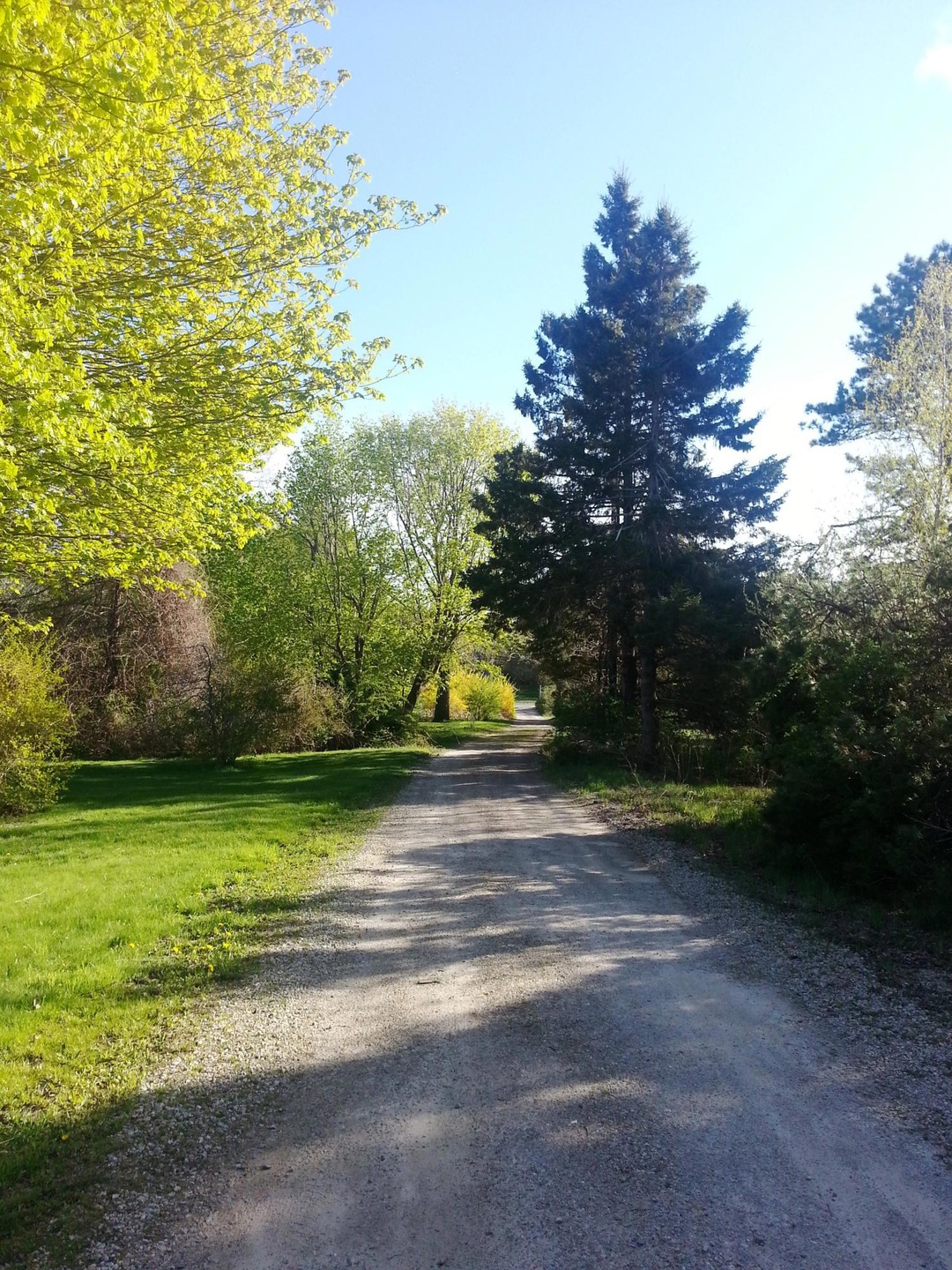 40 Salt Meadow Ln, West Barnstable, MA 02668 - photo 1